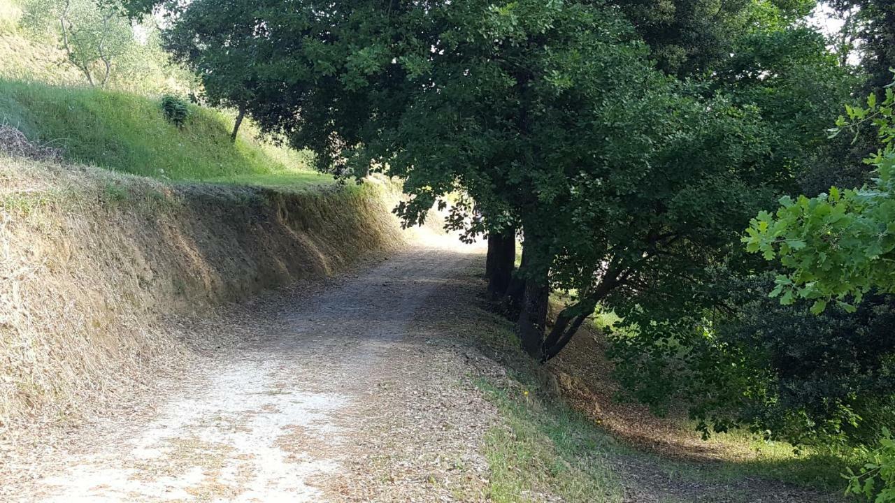 Agriturismo Le Querce Palaia Exteriér fotografie