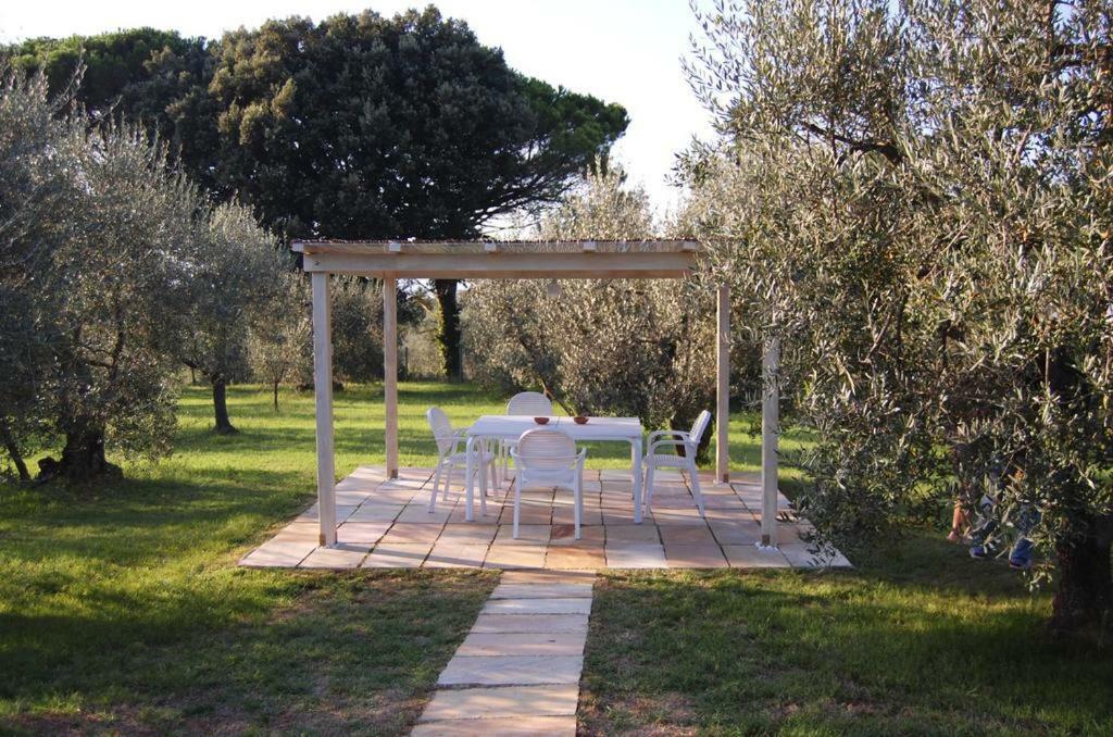 Agriturismo Le Querce Palaia Exteriér fotografie